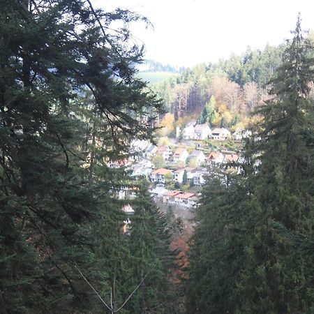 Relaxapartments Black Forest Diamond Direkt An Der Hornberger Freilichtbuehne - Sonnenterrasse Mit Blick Auf Das Hornberger Schloss, Schnelles Internet, Fuer Bis Zu 2 Personen Екстериор снимка