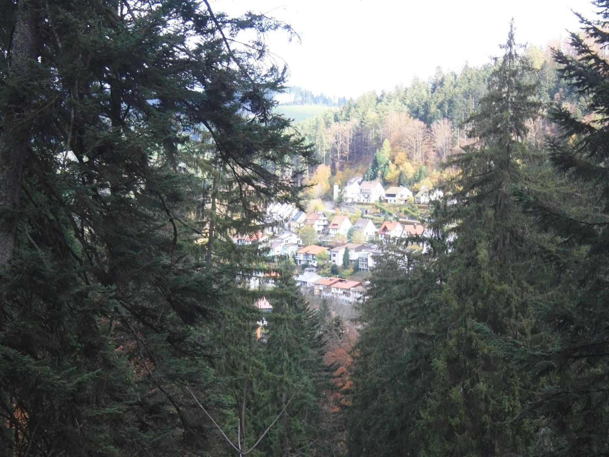 Relaxapartments Black Forest Diamond Direkt An Der Hornberger Freilichtbuehne - Sonnenterrasse Mit Blick Auf Das Hornberger Schloss, Schnelles Internet, Fuer Bis Zu 2 Personen Екстериор снимка