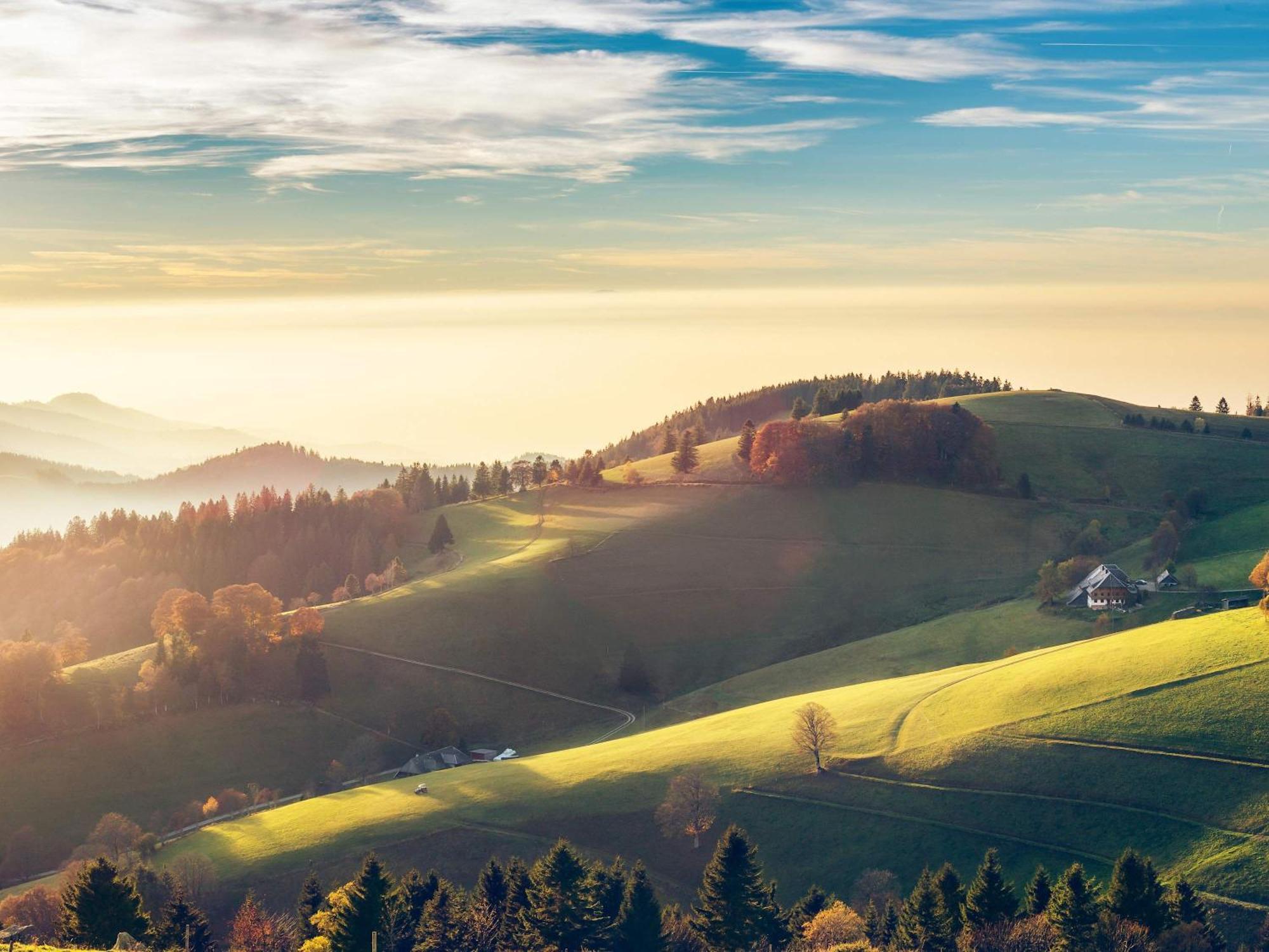 Relaxapartments Black Forest Diamond Direkt An Der Hornberger Freilichtbuehne - Sonnenterrasse Mit Blick Auf Das Hornberger Schloss, Schnelles Internet, Fuer Bis Zu 2 Personen Екстериор снимка
