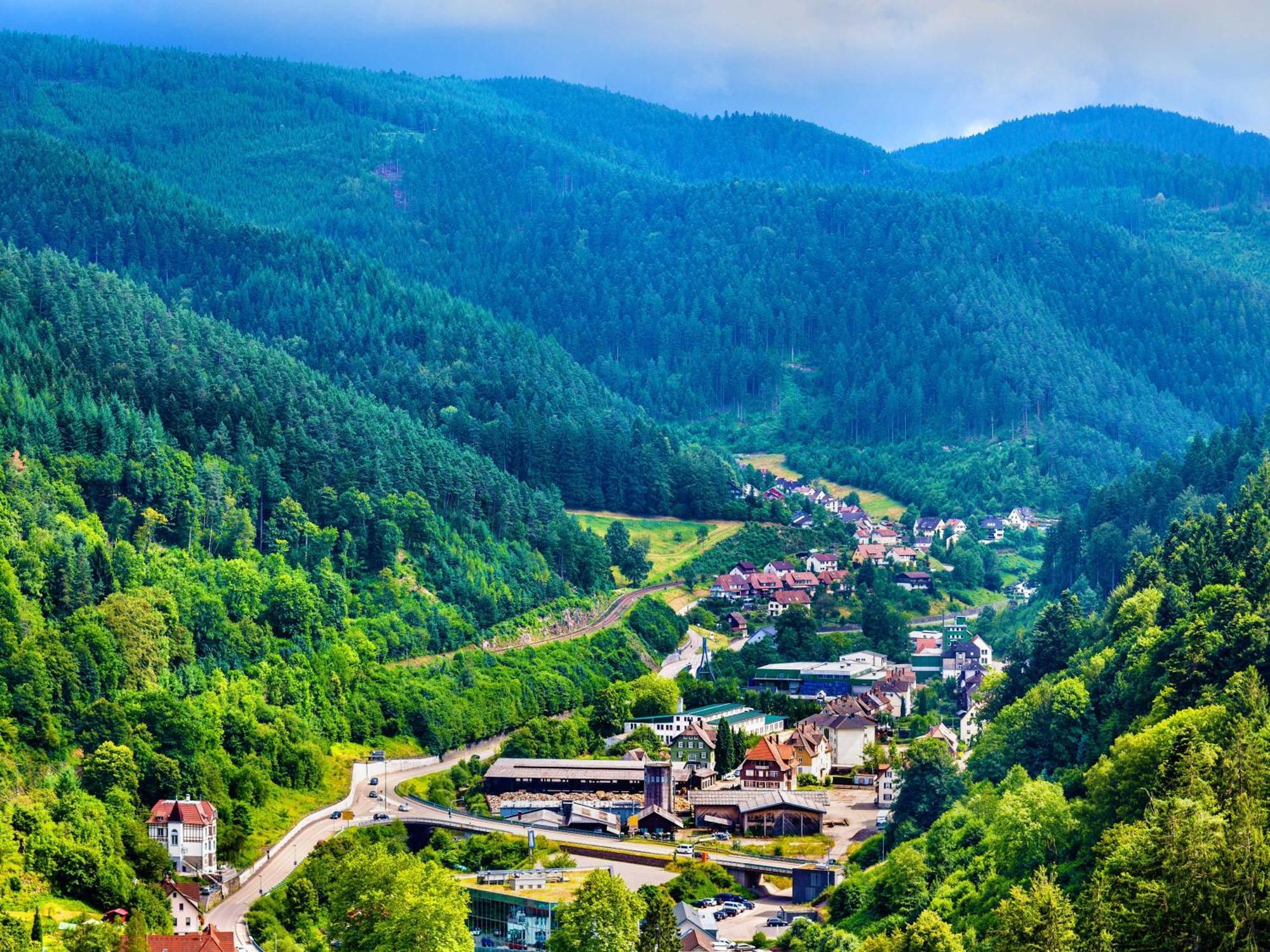 Relaxapartments Black Forest Diamond Direkt An Der Hornberger Freilichtbuehne - Sonnenterrasse Mit Blick Auf Das Hornberger Schloss, Schnelles Internet, Fuer Bis Zu 2 Personen Екстериор снимка